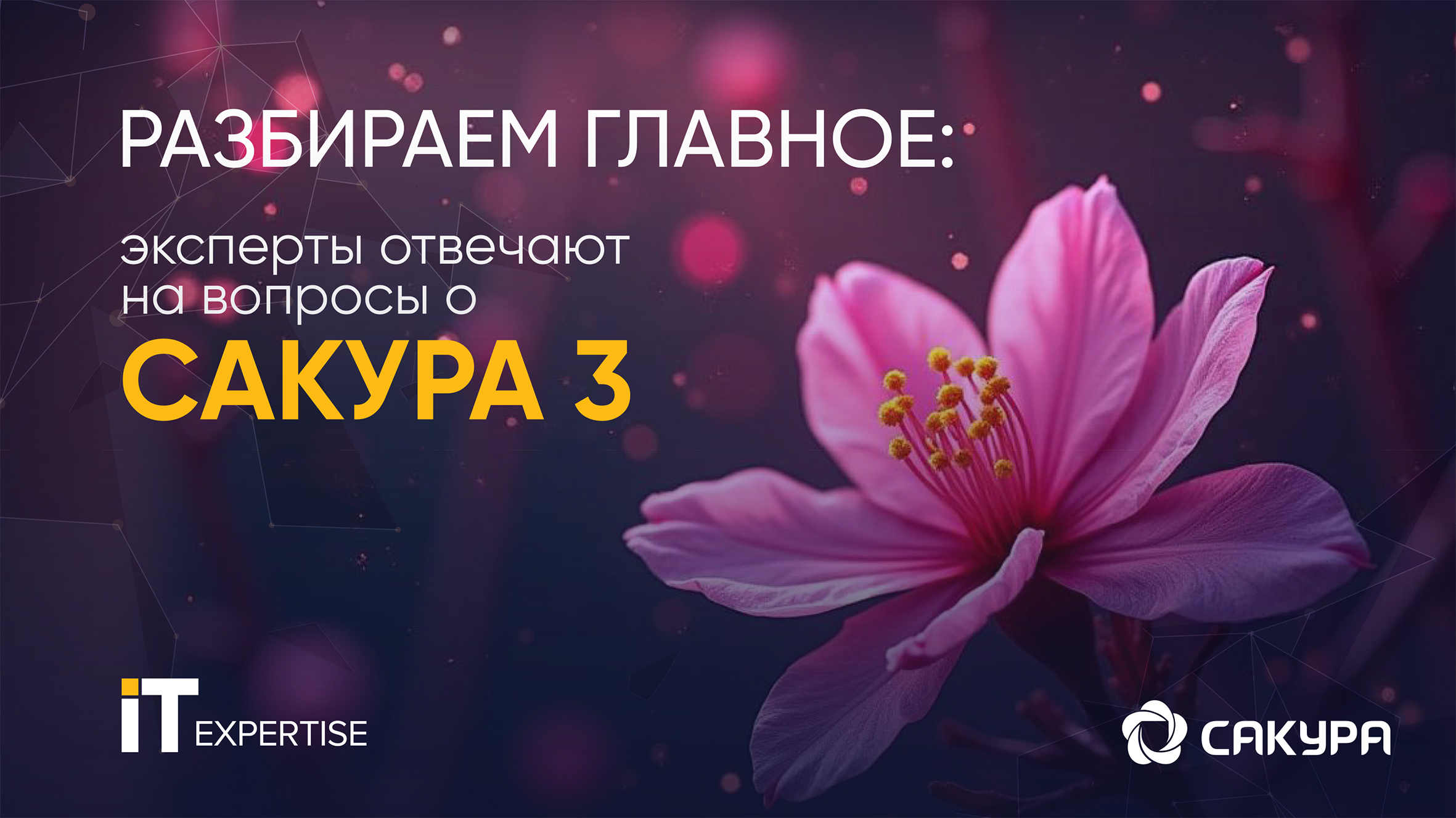 Разбираем главное: эксперты отвечают на вопросы о САКУРА 3